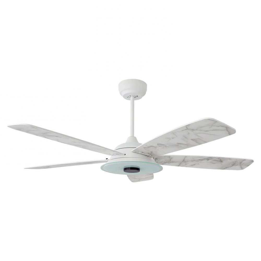 Striker 52-inch Indoor/Outdoor Smart Ceiling Fan, Dimmable LED Light Kit & Remote Con