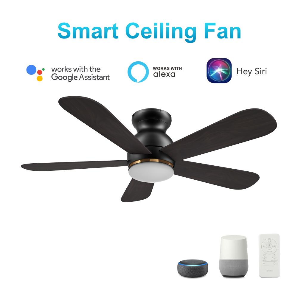 Dubois 48'' Smart Ceiling Fan with Remote, Light Kit Included?Works with Google Assistant an