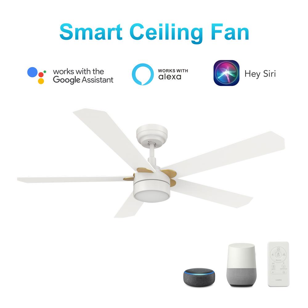 Tarrasa 52'' Smart Ceiling Fan with Remote, Light Kit Included?Works with Google Assistant a