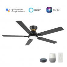 Carro USA VS525J-L12-B2-1-FM - Espear 52'' Smart Ceiling Fan with Remote, Light Kit Included, Works with Google Assistant,