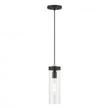 Livex Lighting 41236-04 - 1 Light Black with Brushed Nickel Accent Mini Pendant