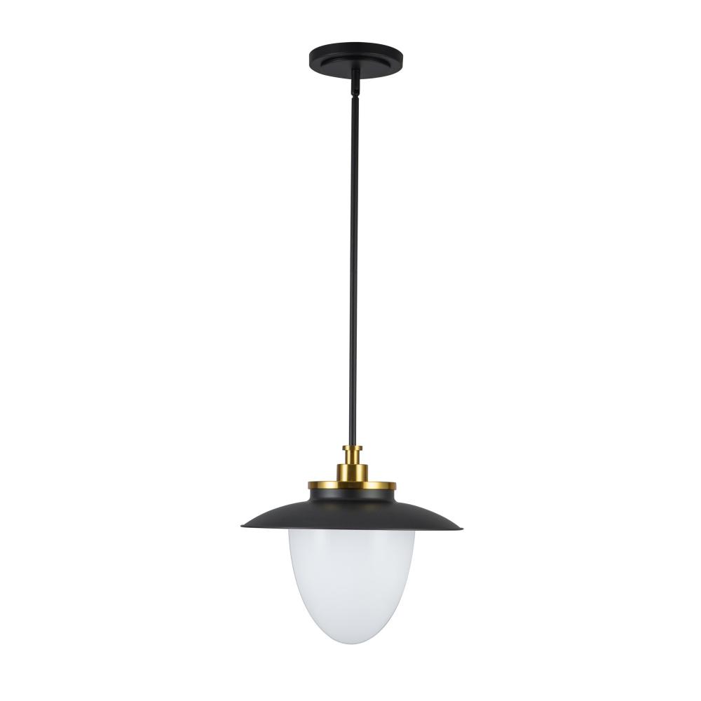 Dahlia 1 Light Pendant 15", Black