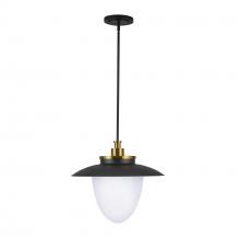 Artcraft AC11906BB - Dahlia 3 Light Pendant 20", Brushed Brass