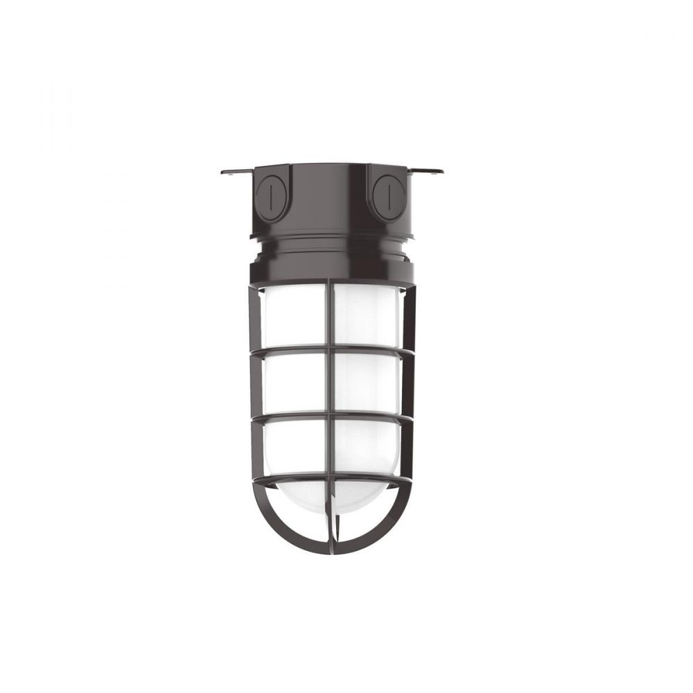 Vaportite 5 1/2 inch Flush Mount Ceiling Light