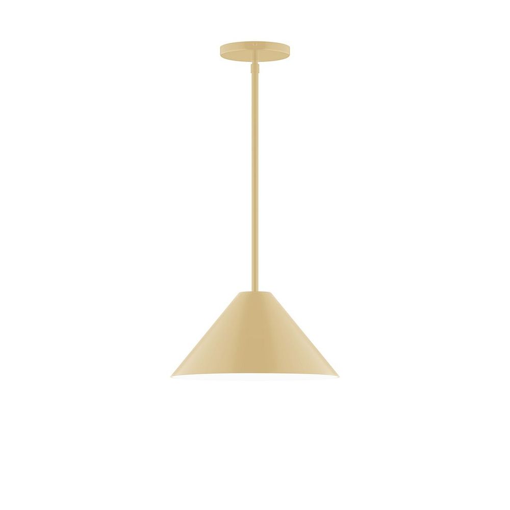 12" Pinnacle LED Stem Hung Pendant