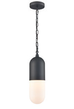 DVI DVP13775BK-OP - Capsule Pendant