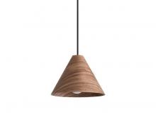 Golden 3988-10 DWA - Conique - 10" Pendant