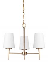 Generation-Seagull 3140403-848 - Driscoll contemporary 3-light indoor dimmable ceiling chandelier pendant light in satin brass gold f