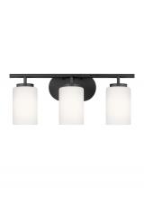 Generation-Seagull 41162-112 - Three Light Wall / Bath