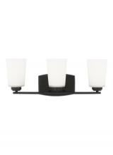 Generation-Seagull 4428903-112 - Franport transitional 3-light indoor dimmable bath vanity wall sconce in midnight black finish with