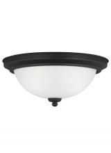 Generation-Seagull 77064-112 - Geary transitional 2-light indoor dimmable ceiling flush mount fixture in midnight black finish with