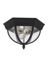 Generation-Seagull 78136-12 - Wynfield traditional 2-light outdoor exterior ceiling ceiling flush mount in black finish with clear