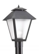 Generation-Seagull 82065-12 - Polycarbonate Outdoor traditional 1-light outdoor exterior large post lantern in black finish with f