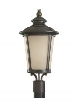 Generation-Seagull 82240-780 - Cape May traditional 1-light outdoor exterior post lantern in burled iron grey finish with etched li