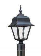 Generation-Seagull 8255-12 - Polycarbonate Outdoor traditional 1-light outdoor exterior medium post lantern in black finish with