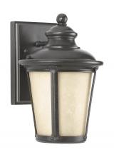 Generation-Seagull 88240D-780 - Cape May traditional 1-light outdoor exterior small Dark Sky compliant wall lantern sconce in burled