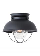 Generation-Seagull 8869-12 - Sebring transitional 1-light outdoor exterior ceiling flush mount in black finish with clear seeded