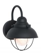 Generation-Seagull 8870-12 - Sebring transitional 1-light outdoor exterior small wall lantern sconce in black finish with clear s