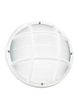 Generation-Seagull 89807-15 - Bayside traditional 1-light outdoor exterior wall or ceiling mount in white finish with polycarbonat