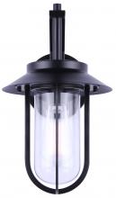 Canarm IOL531BK - NAVY, IOL531BK, MBK Color, 1 Lt Outdoor Down Light, Clear Glass, 60W Type A