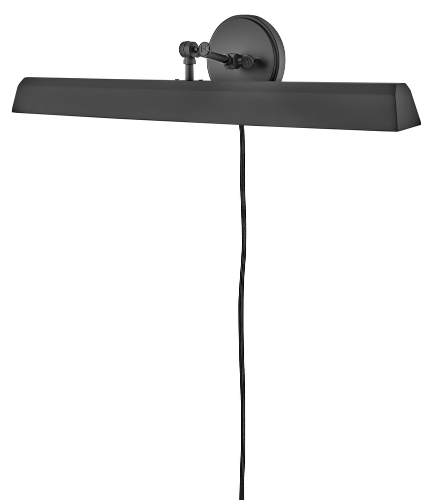 Large Adjustable Accent Light