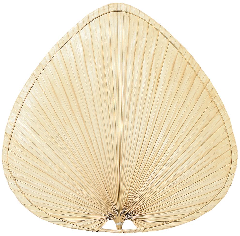 18" PALISADE BLADE: WIDE OVAL PALM - SET OF 8